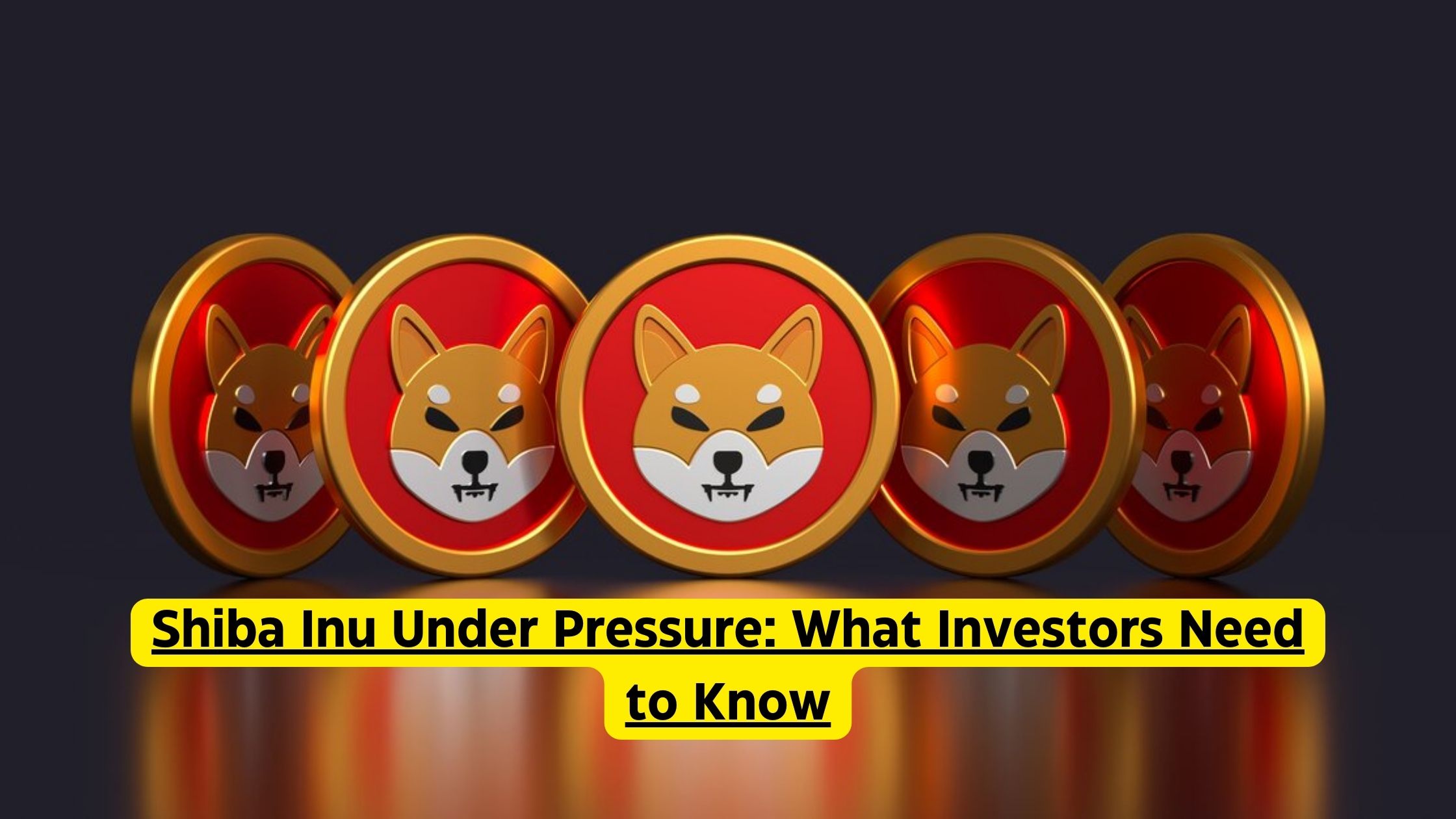 Shiba Inu Under Pressure What Investors Need to Know